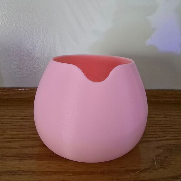 Pink Succulent Flower Pot Plant Vase Purple Ombre Stripe Water Can 3D Garden Art - Picture 3 of 10